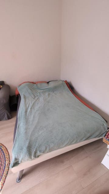 LEAVING TODAY Bossflex double bed frame + mattress