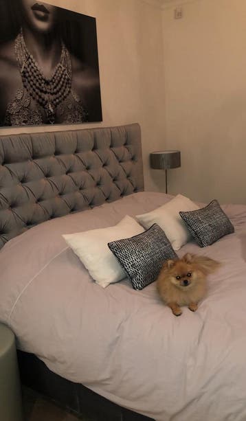 Gratis ophalen Swiss sense 180x200 bed