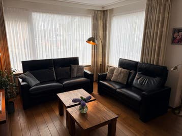 2x lederen bank 2 + 3 persoons