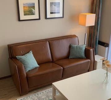 Gratis af te halen 3-zits leren bank