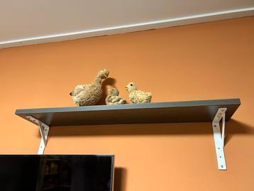Gratis af te halen - 3 wandplanken met plankdragers