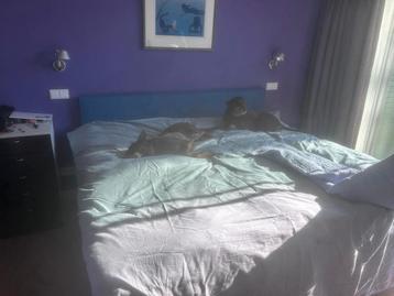 Hästens boxspring bed 180x200 cm - Zeer goede staat