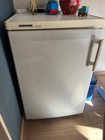 Koelkast liebherr premium gratis af te halen