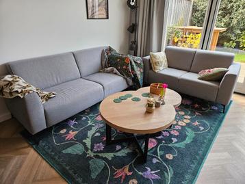 Set van 2 grijze banken: 2-zits en 3-zits