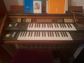 Orgel met 2 klavieren en bijpassend krukje!