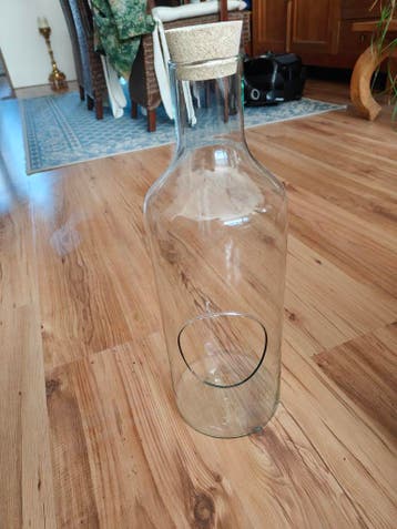 Gratis geblazen pot/fles met planten gat.