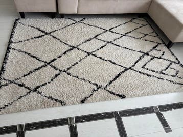 Gratis: Hoogpolig tapijt met gebruikerssporen + extra kleed