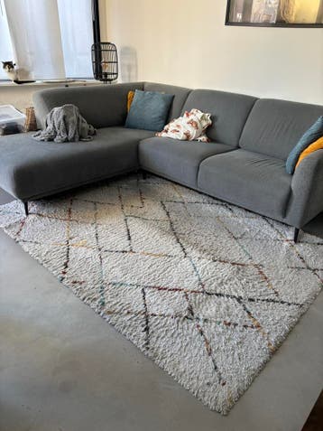 Vloerkleed 230 x 160 cm