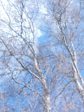 boekje over hooikoorts verminderen