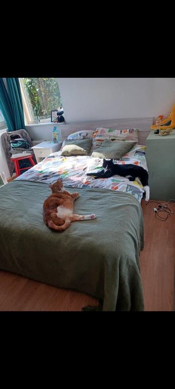 Bed van 200x140 gratis af te halen