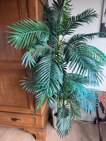 Grote kunstpalm