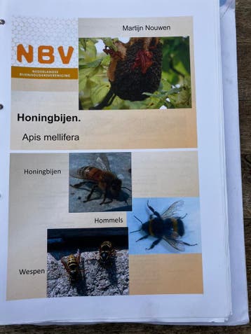 Bijen imker cursusboek bijenhouden