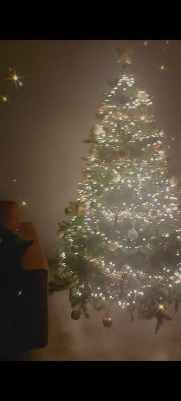 Gratis af te halen: Kunstkerstboom