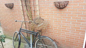 oude transsport fiets gratissssssssssssss oud ijzer
