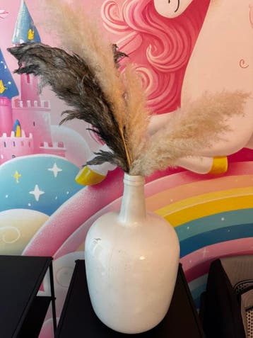 Vaas met pampas pluimen