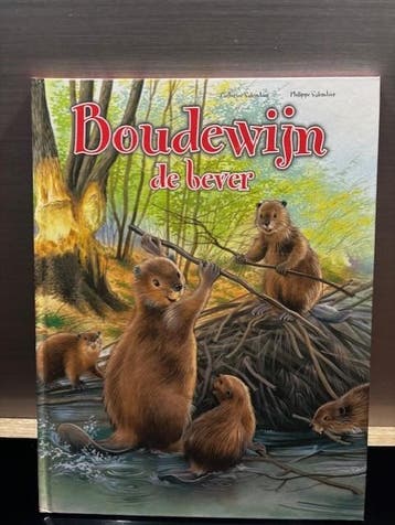 Boudewijn de bever (advr 162)