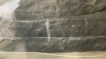 Gratis schouw van natuursteen