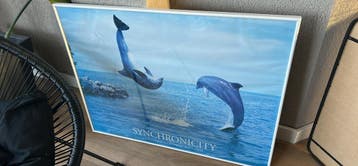 Fotolijst 62x82 cm met glas - Zo goed als nieuw