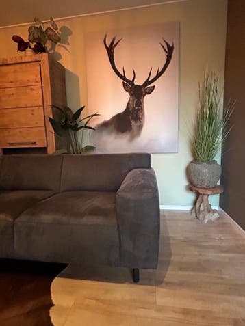 Bank  gratis Hoogachterkant 85. Breed 230 Diep 90.