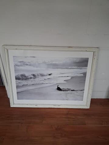 Poster hond op strand