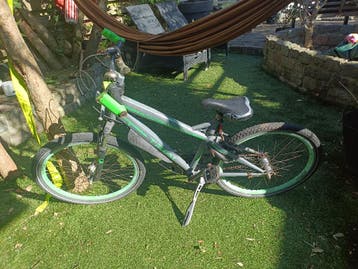 Kinderfiets Alpine opknapper