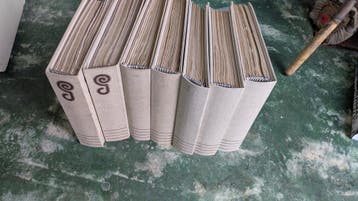 Boekenreeks Grasduinen: vanaf 1979