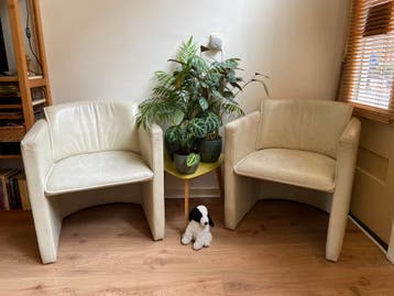 Gratis 2 Fauteuils. Echt leer (Merk: Leolux)