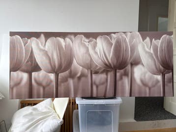 tulpen in sepia tint (IKEA)