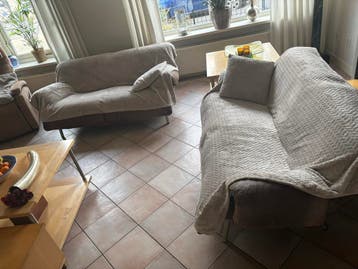 Graeis af re halen Twee leren banken met hoezen