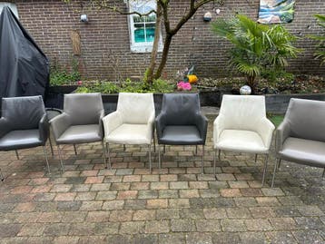 6 leren eetkamerstoelen - Nog in geweldige staat!