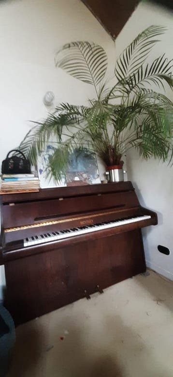 Gratis afhalen piano