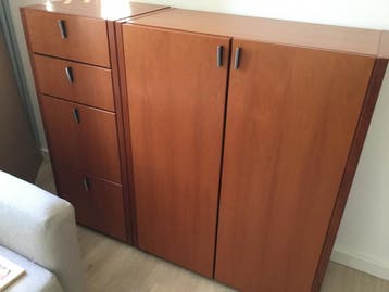 Gratis af te halen ; mooie 2 deurs lage kast met planken