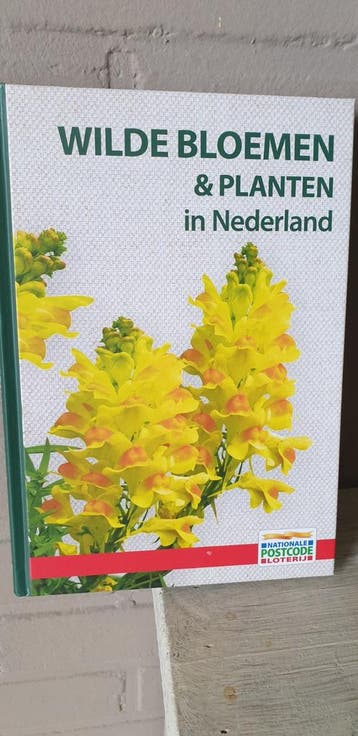 Wilde Bloemen & Planten in Nederland - Gratis Boek