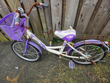 Meisjes fiets
