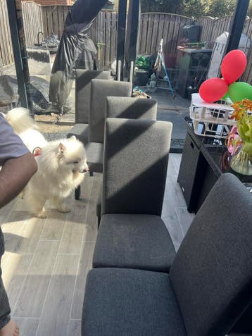 5 Grijze eetkamerstoelen GRATIS