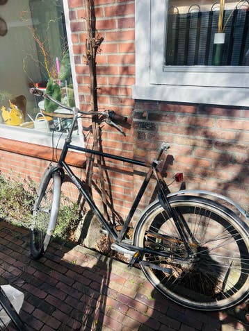 Gratis Union herenfiets (stuk)