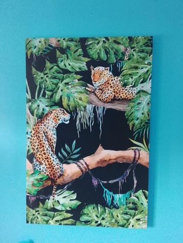 Gratis vandaag ophalen