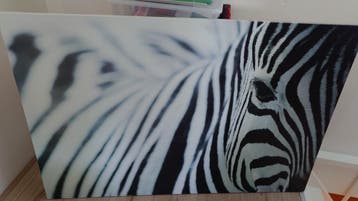 GRATIS Zebra schilderij/fotolijst 118x78cm