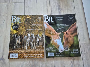 Bit magazine en 5x mini gids
