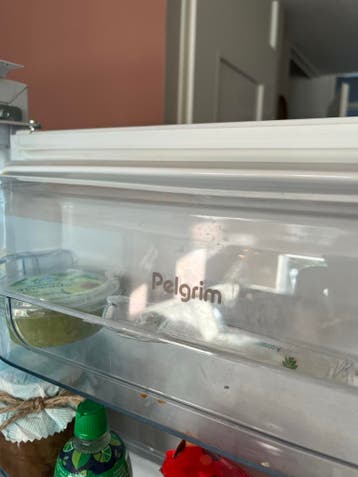 Pelgrim inbouwkoelkast met vriesvak