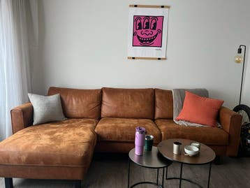 Bruine leren hoekbank