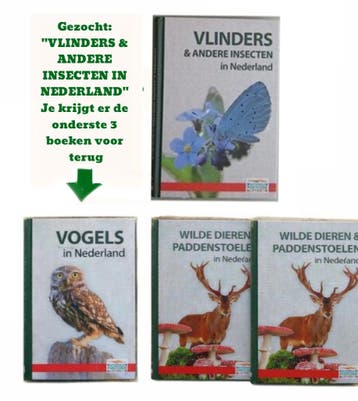 GEZOCHT: Vlinders & Andere Insecten in Nederland