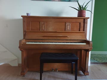 Piano Stein-Berlin