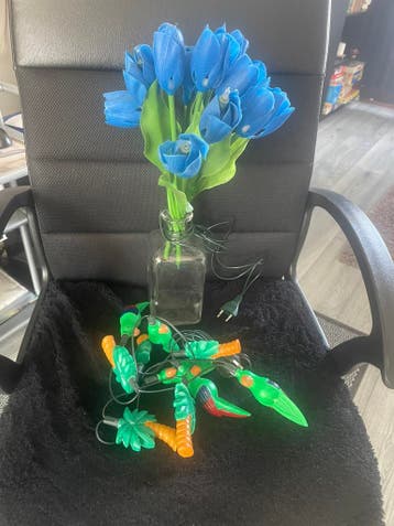 Gratis: Fles Tulpen met Lampjes+ Snoer Papegaaien en Palmen