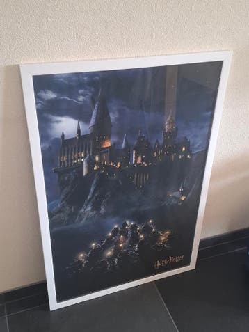 Harry Potter posters incl. lijst