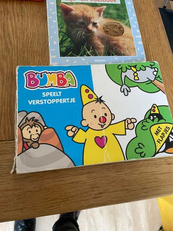 Bumba Speelt Verstopperje - Interactief Boek met Flapjes