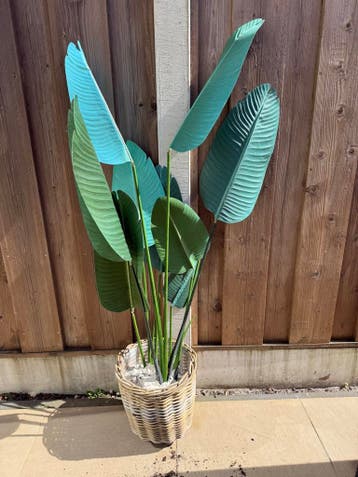 Gratis af te halen kunstplant in pot