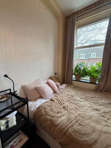 Palletbed met matras gratis af te halen