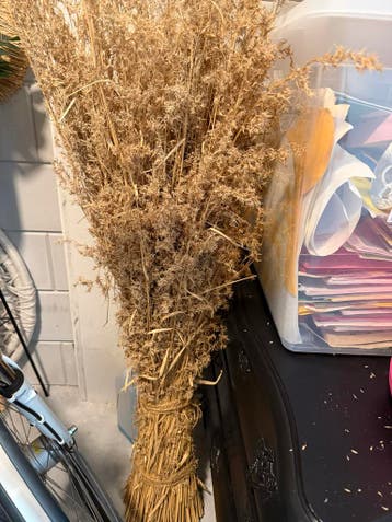 Grote bos gedroogde grassen