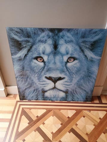 Poster achter glasplaat